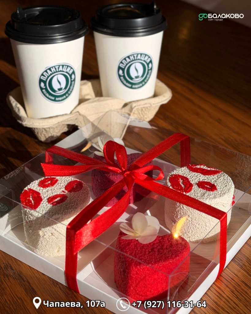 Плантация 2.jpg